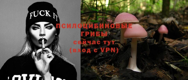 СК Абаза
