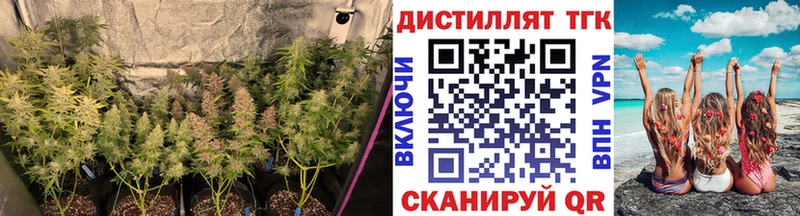 ТГК вейп с тгк  MEGA сайт  Грозный 