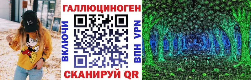 где купить наркотик  Грозный  Галлюциногенные грибы Cubensis 